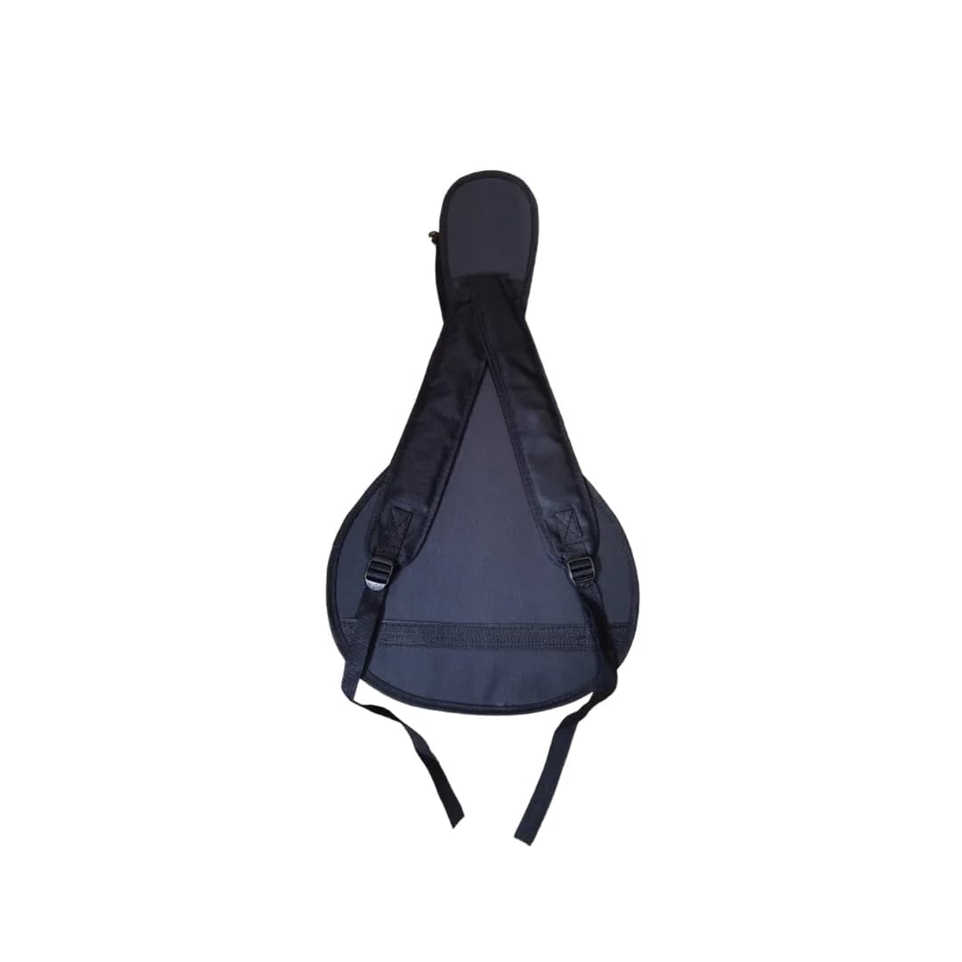ESTUCHE SEMIDURO BANDOLA 2