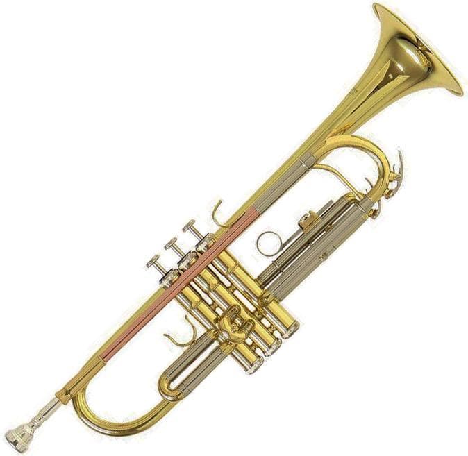 Trompeta Roy Benson Tr-202 Rb701070 2