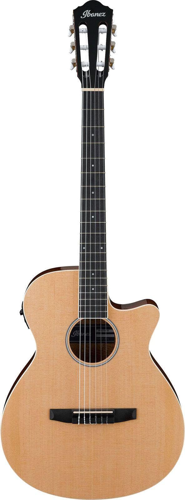 Guitarra Electroacustica Ibanez Aeg7Tn-Nt