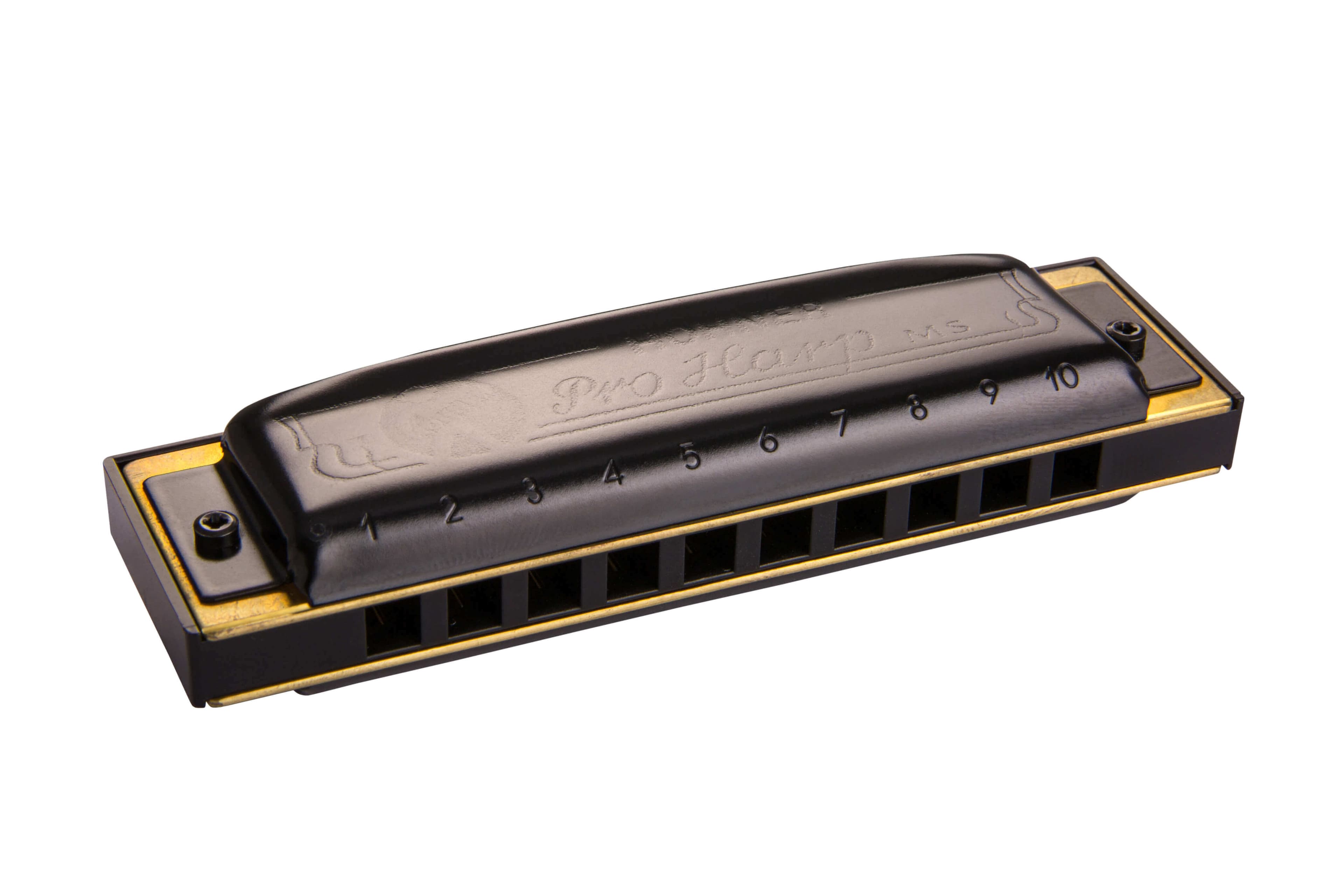 Armonica Hohner Pro Harp En Re M564036p
