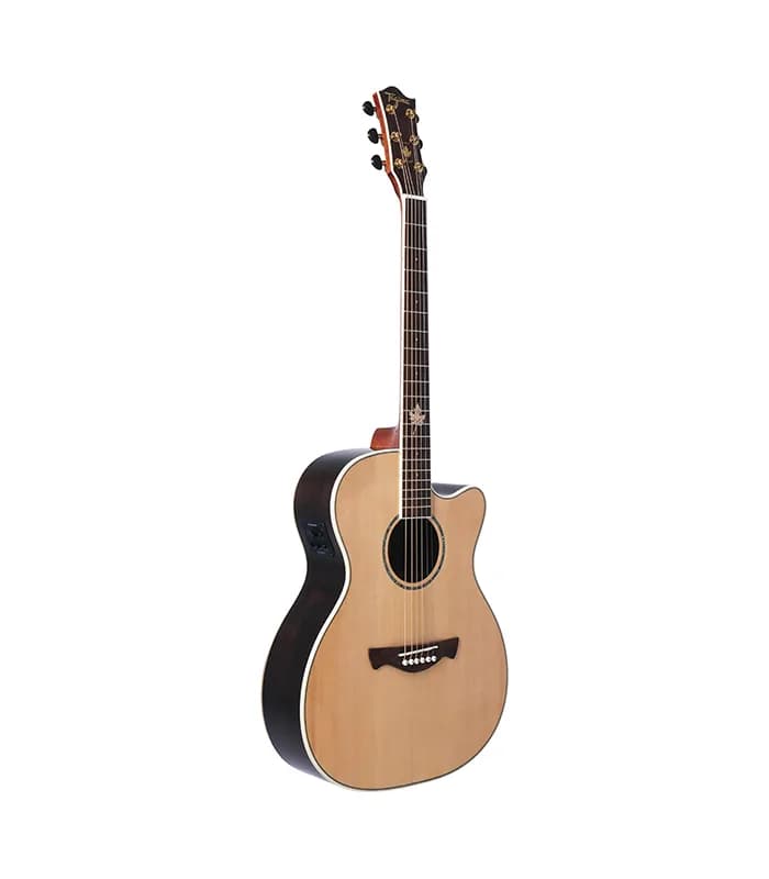 GUITARRA ELECTROACUSTICA TAGIMA MONTREAL EQ HB 1