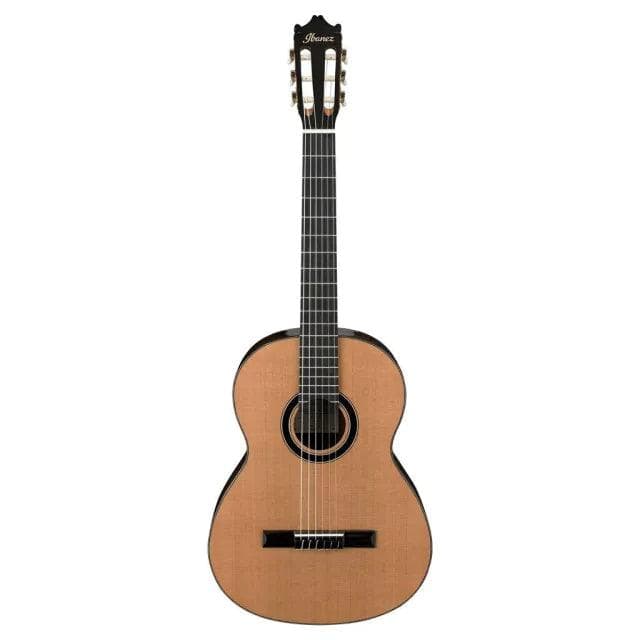 Guitarra Acustica Ibanez Ga15-Nt