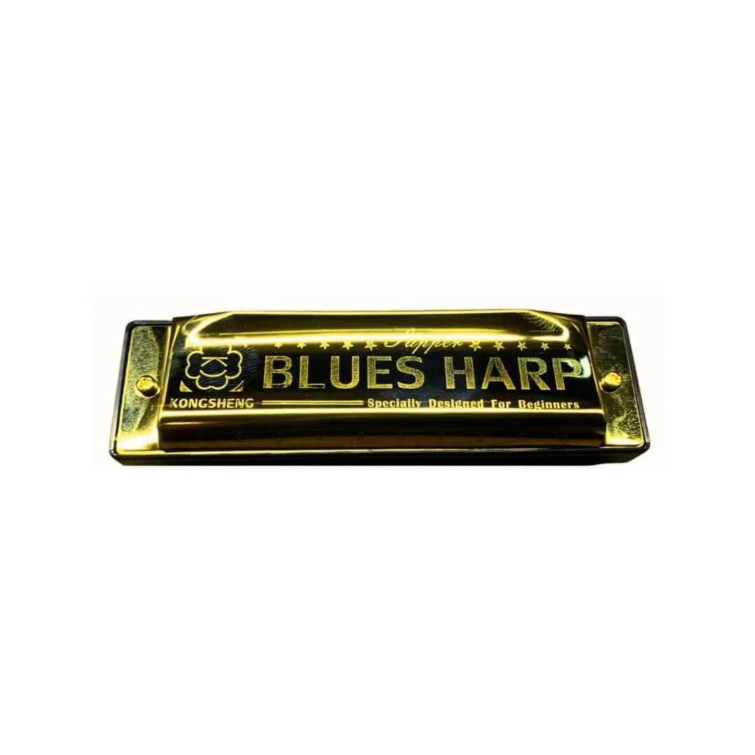 ARMONICA BLUES HARP