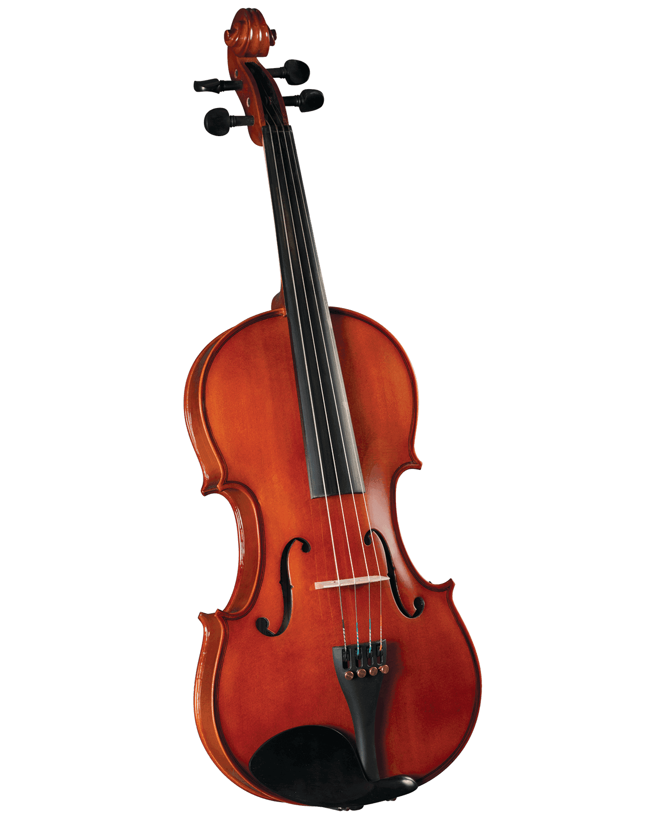 Viola Cervini Hva-100 14"