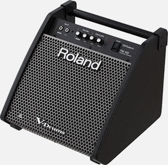 Monitor Roland Pm-100 10 Pulgadas